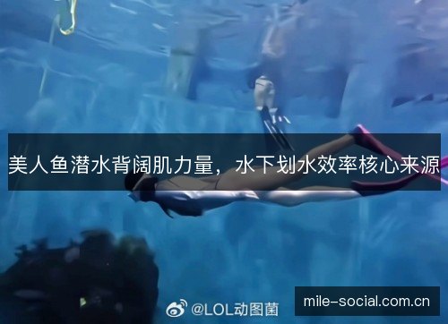 美人鱼潜水背阔肌力量，水下划水效率核心来源